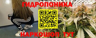 ГАЛЛЮЦИНОГЕННЫЕ ГРИБЫ Северобайкальск