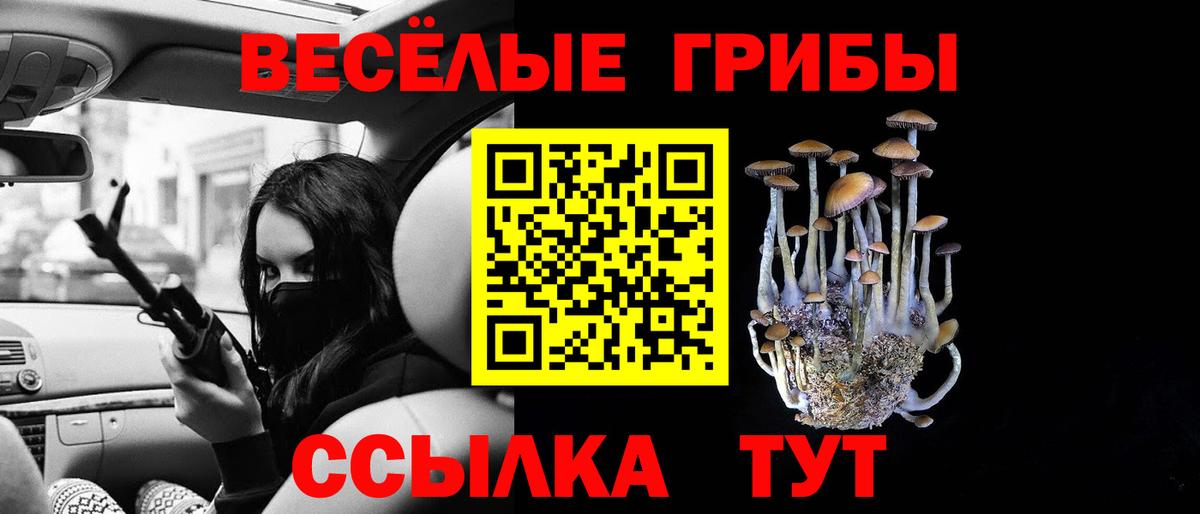 Псилоцибиновые грибы мицелий  Вход с VPN  Абинск 
